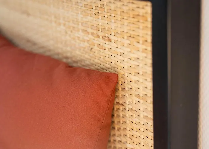 Vicheia - 13 Apartment Vichy